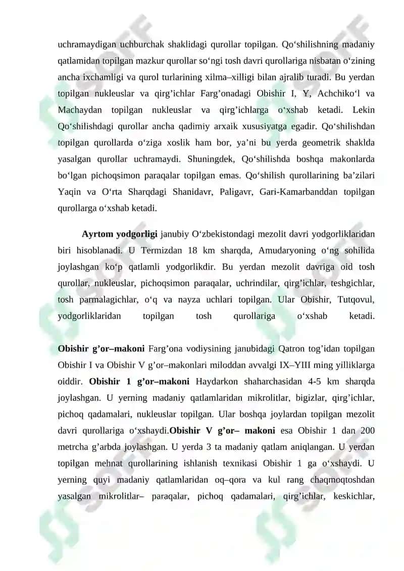 Mezolit davri o’rganish tarixi 5