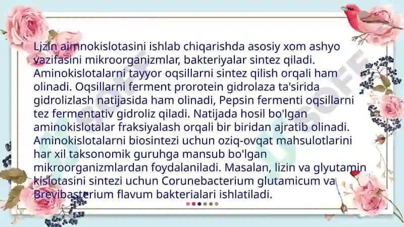 Lizinishlabchiqarishtexnologiyasi 5