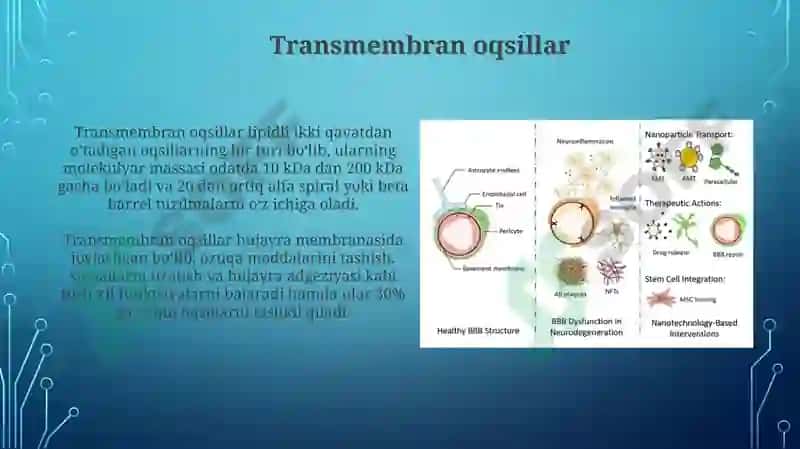 Biologik Membranalar 5