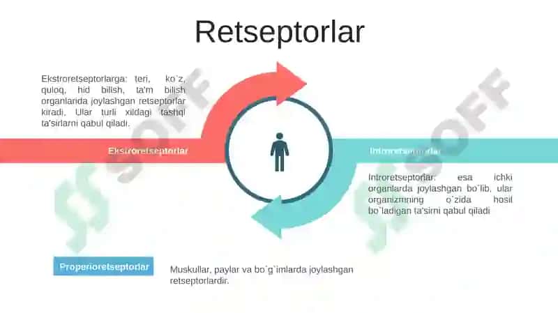 Analizatorlar haqida tushuncha 5
