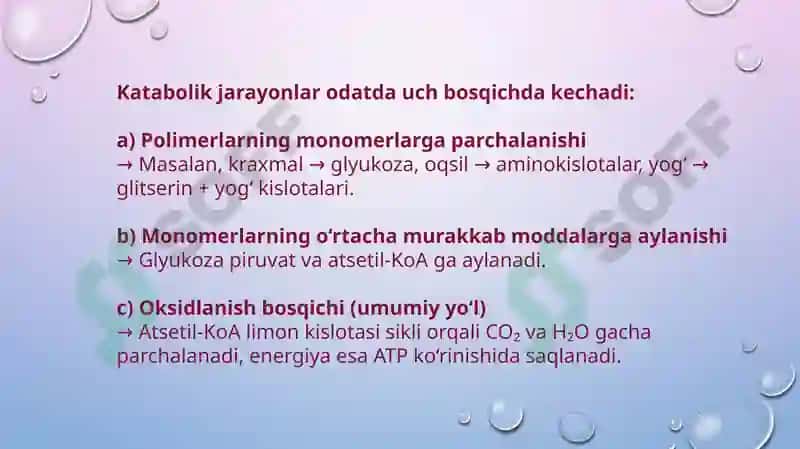 Katabolizmning umumiy  yo‘llari 5