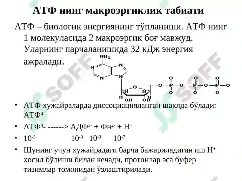 Биологик оксидланиш 5