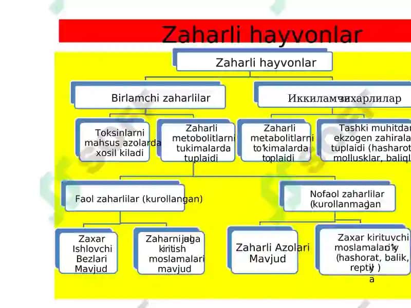 Zaharli hayvonlar 5