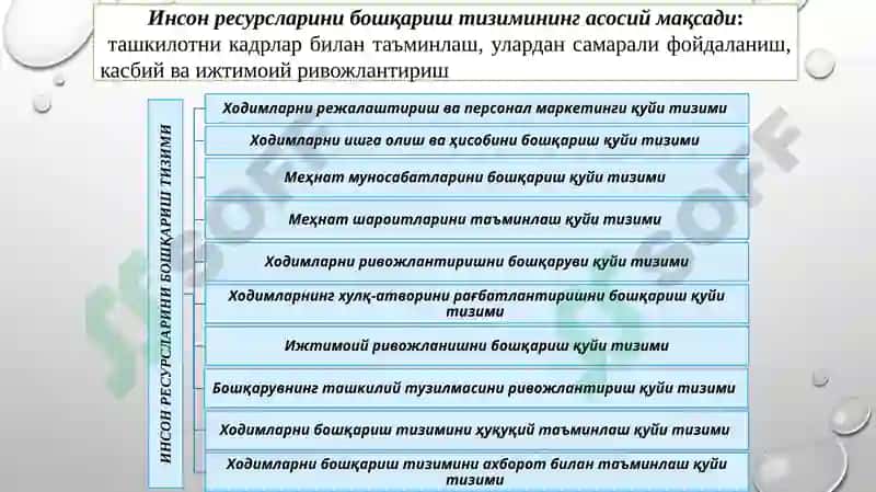 Инсон ресурсларини бошқариш тизими 5