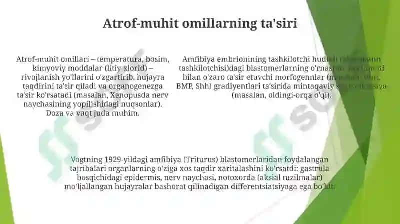 Vogtning Eksperimental Loyiha va Uslublari 5