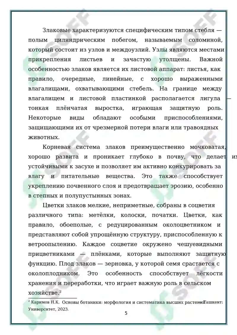 ПРЕДСТАВИТЕЛИ СЕМЕЙСТВА ЗЛАКОВЫХ (POACEAE) ПРОИЗРАСТАЮЩИЕ В ДИКОМ ВИДЕ 5