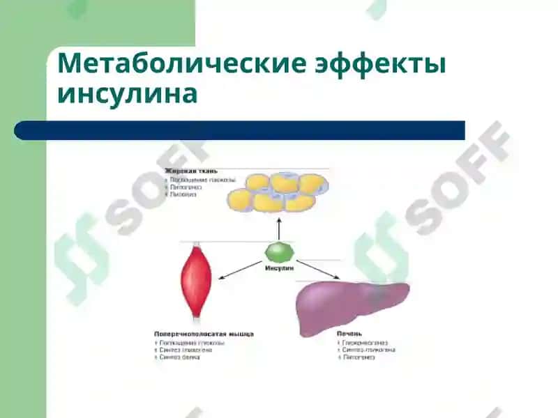 Сахарный диабет 5