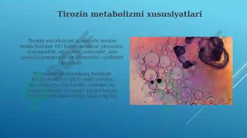 Ayrim aminokislotalar almashinuvi 6