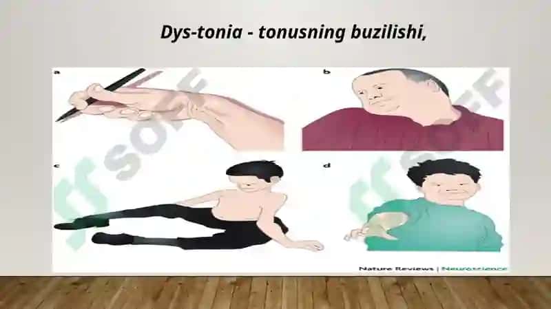 Lotin tilida Tibbiyot Terminologiyasi 6