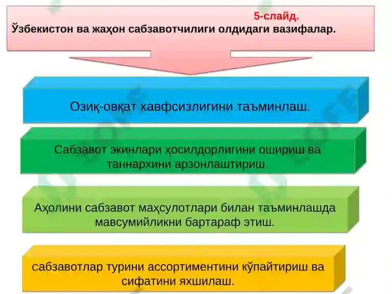 Сабзавотчилик фани 6