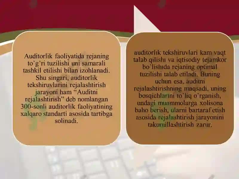 Auditorlik tekshiruvini rejalashtirish 6