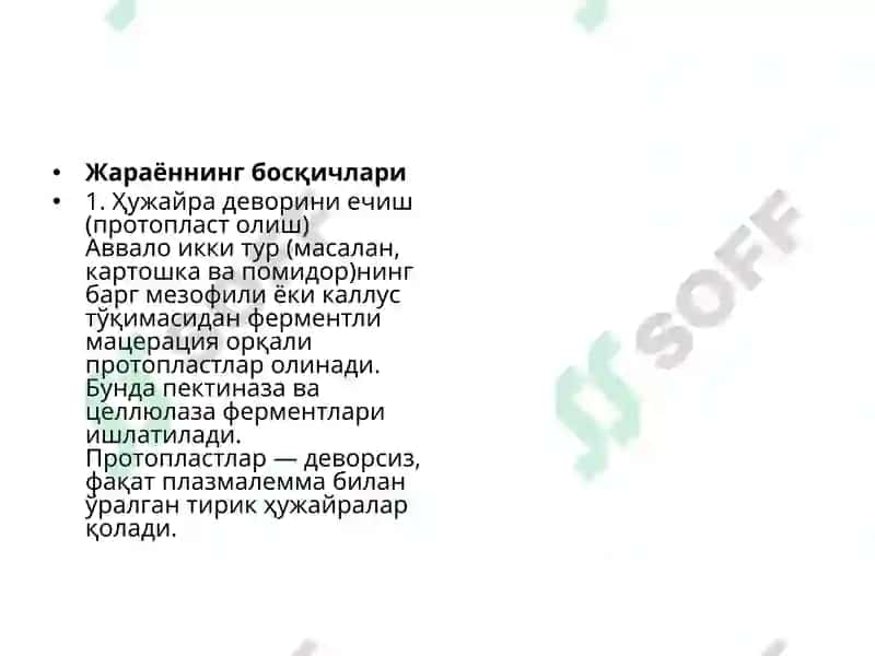 Якка ҳужайралар культураси 6