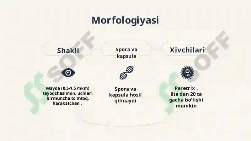 Qorin tifi va Paratif A va V 6