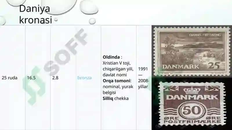 Daniya Bank Tizimi 6