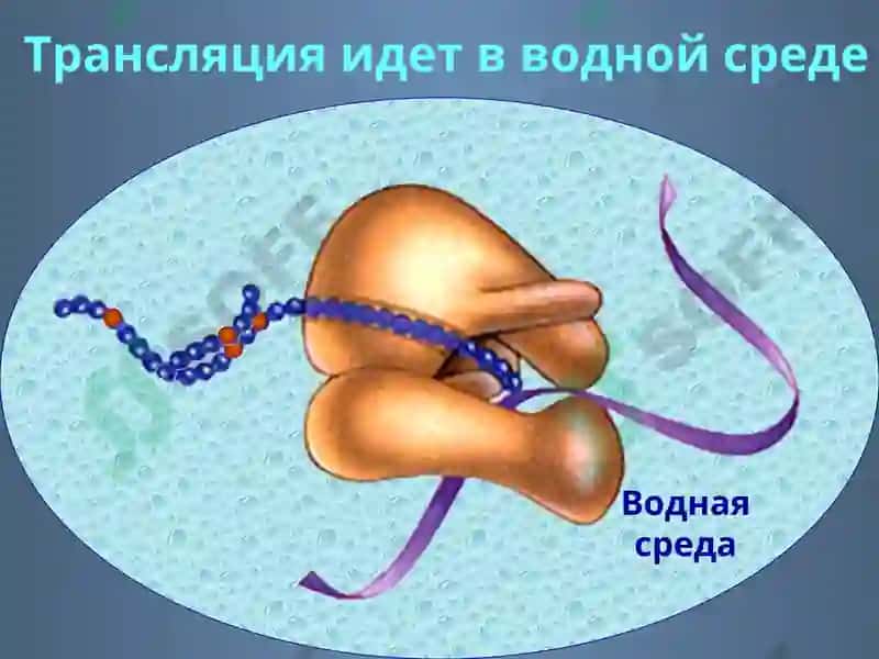 Фолдинг 6