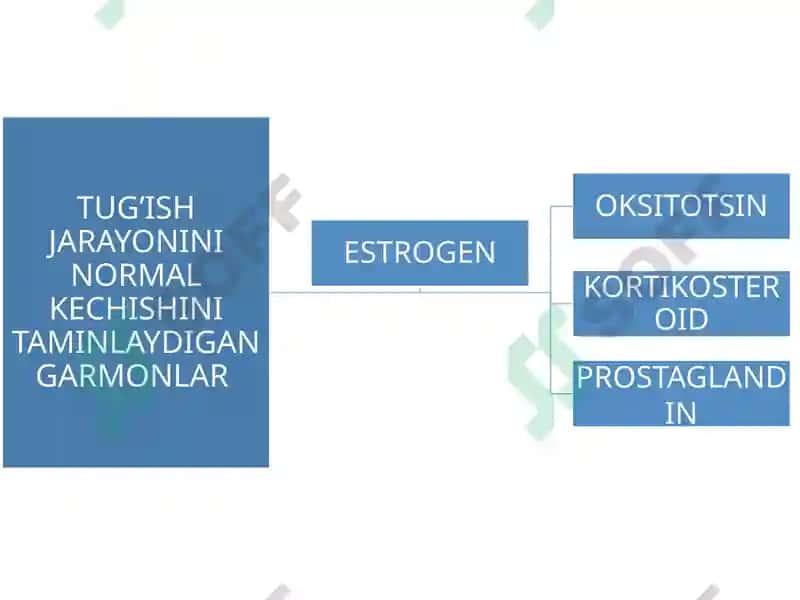 Fiziologik tug'ruq 6
