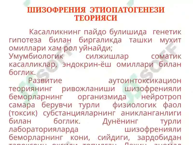 Шизофрения 6