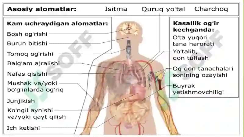 Epidemiologiya asoslari 6