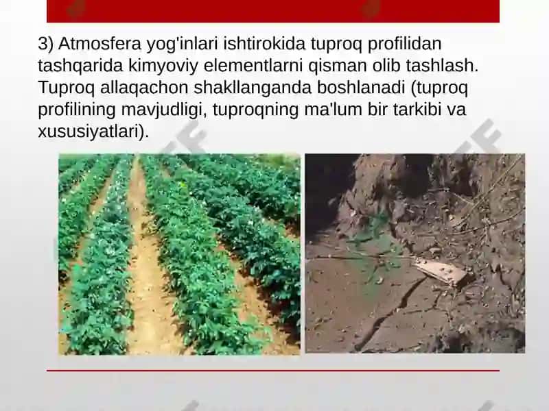 Tuproq hosil qilish jarayoni 6
