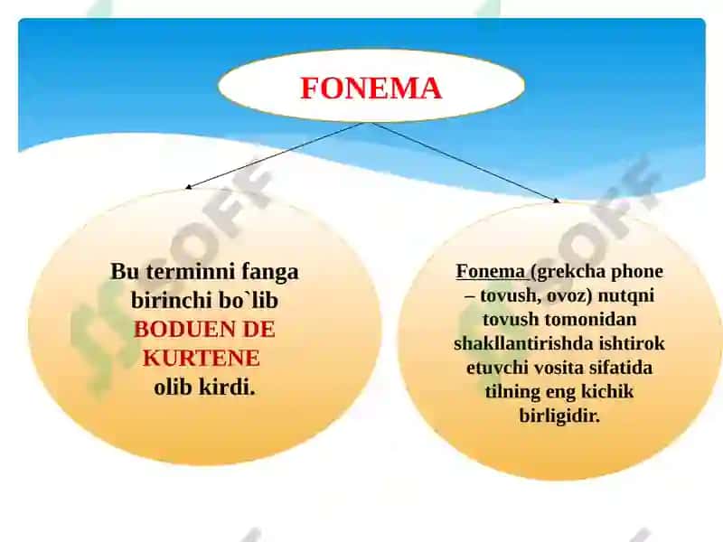 FONETIK–FONOLOGIK VA LEKSIK SATH 6
