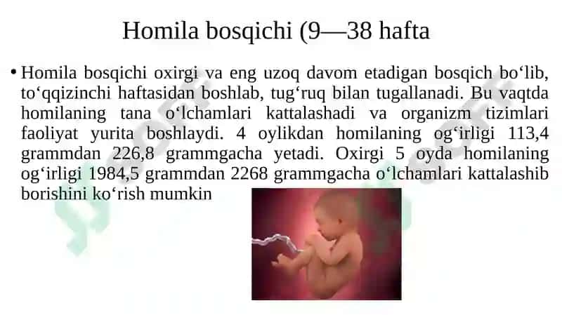 Ontogenezning ilk bosqichlari 6