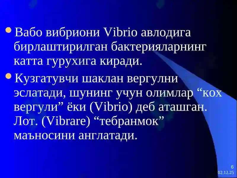 Вабо 6