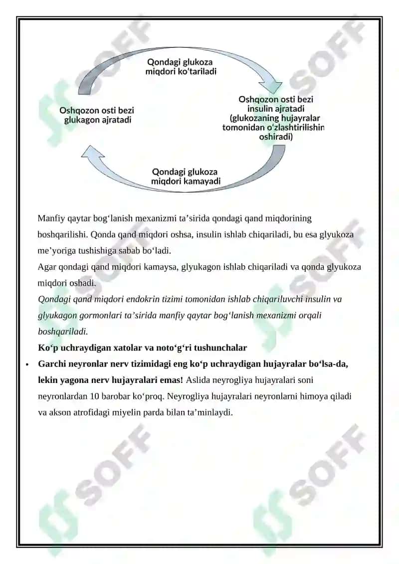 Organizmning nerv, endokrin-immun boshqariluvi 6