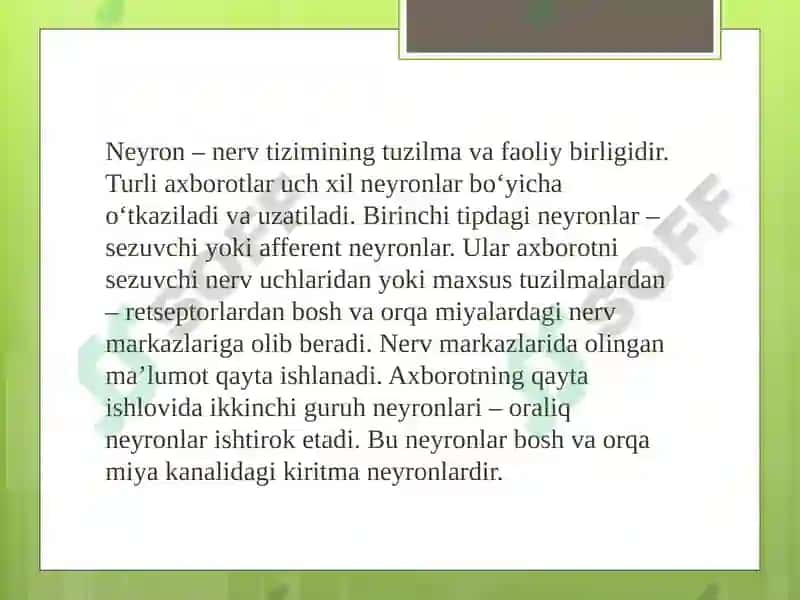 Neyron 6