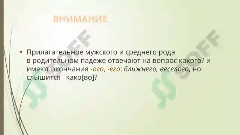 Имя прилагательное 6