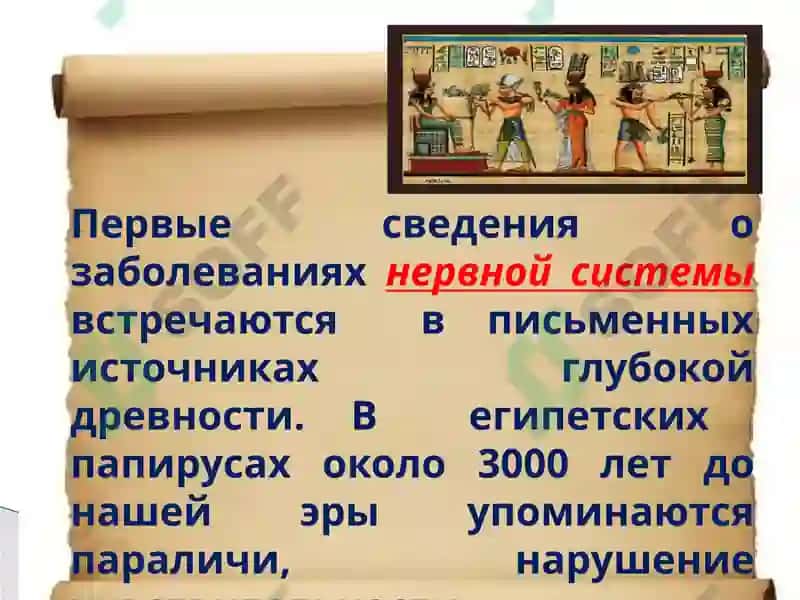 ИСТОРИЯ НЕВРОЛОГИИ 6