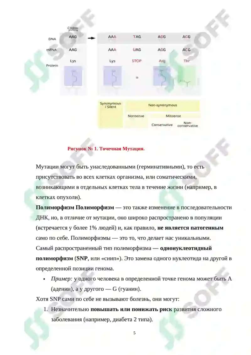 Генетика и основы геномики 6