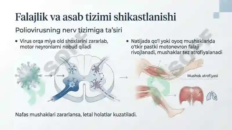 Poliomiylit va boshqa infeksion kasalliklar 6