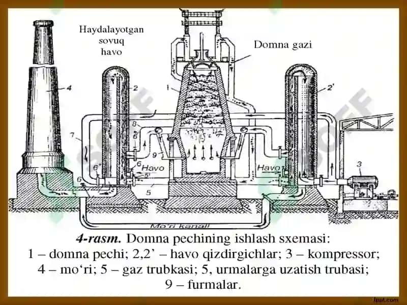 Domna pechi 6