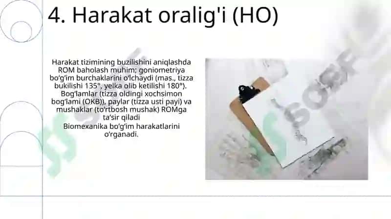 Bo'g'imlarning biomexanikasi. Anatomiya 6