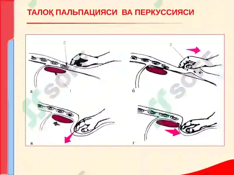 Перефферик кони таркиби 6