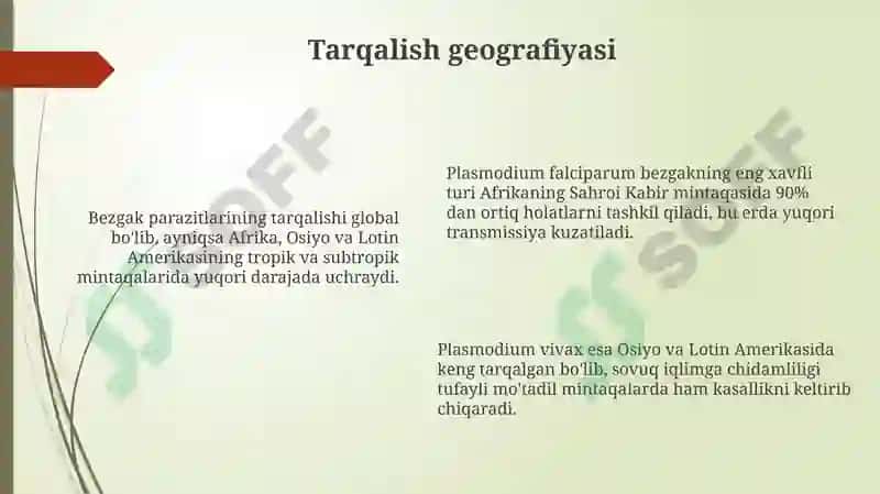 Bezgakparazitiepidemiologiyasi 6