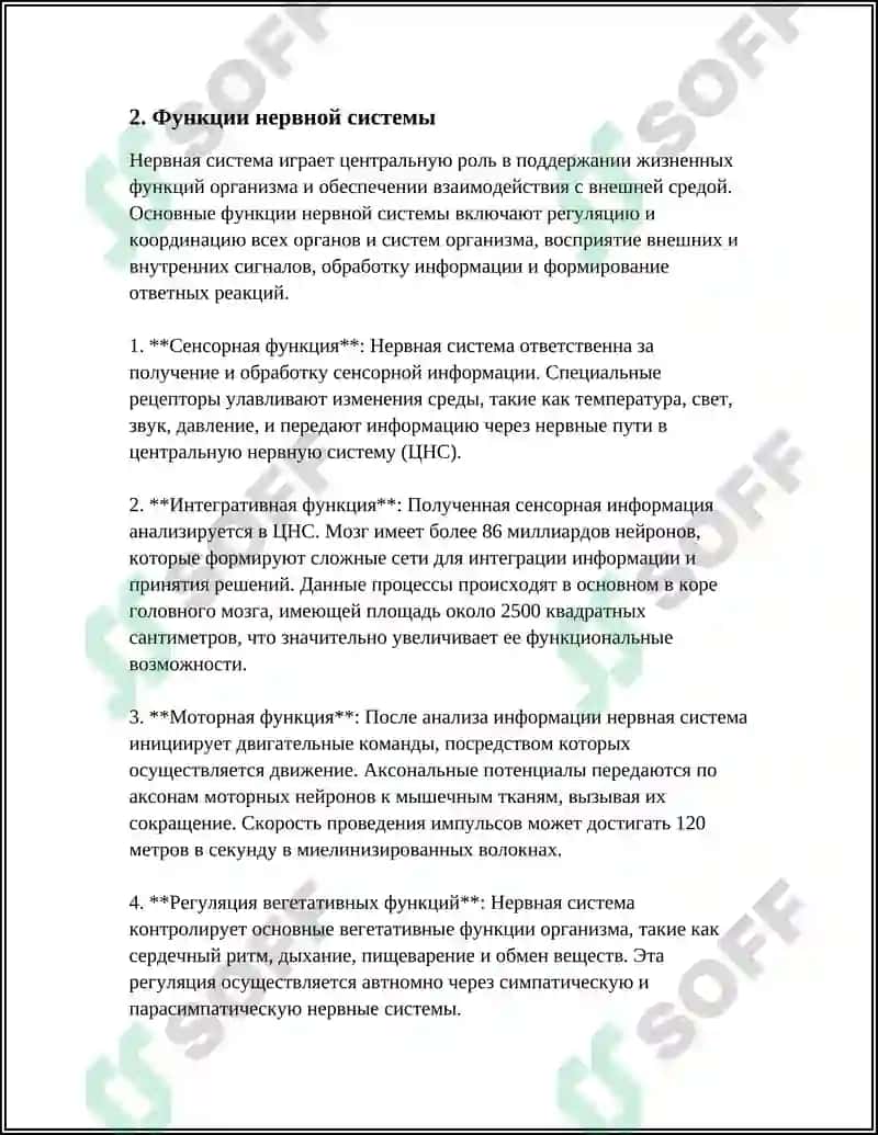 Анатомия нервной системы 6