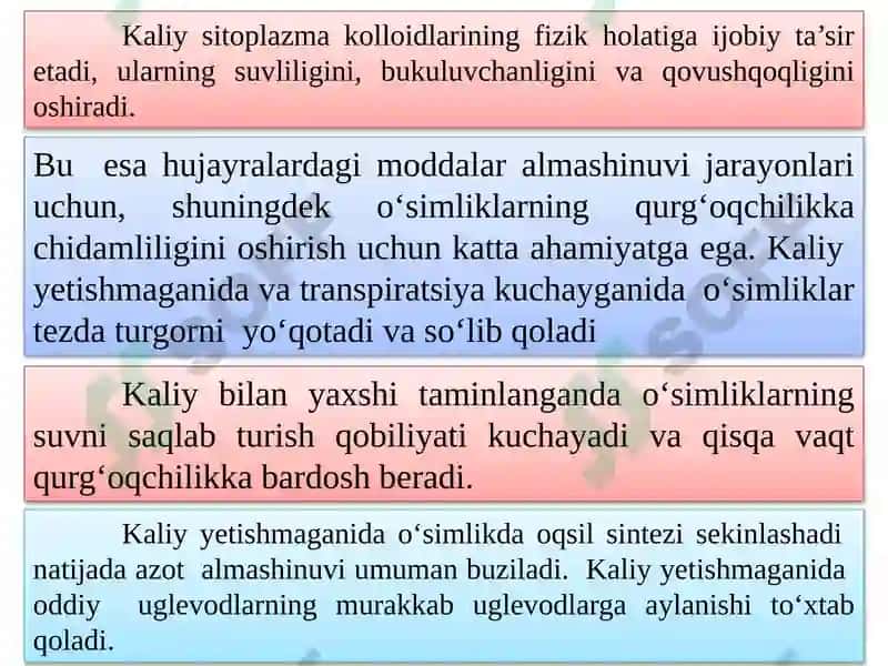 Kaliylivamurakkabo’g’itlar 6