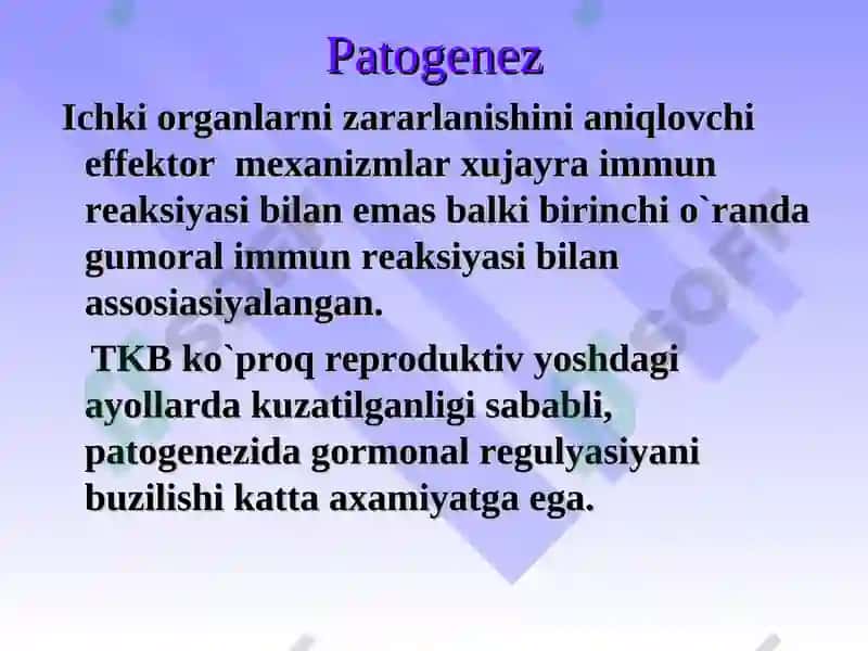 Tizimli qizil bo`richa (TQB) 6