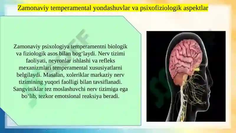 Temperament turlarining fiziologik asoslari 6