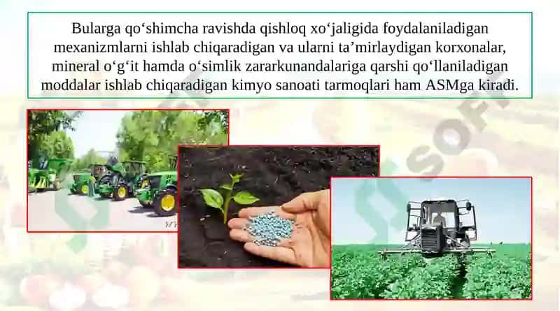 Agrosanoat Majumasi 6