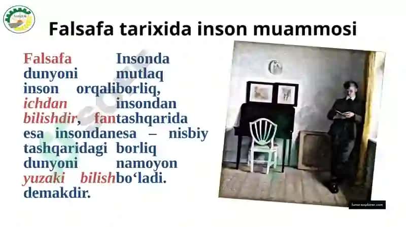 INSON FALSAFASI 6