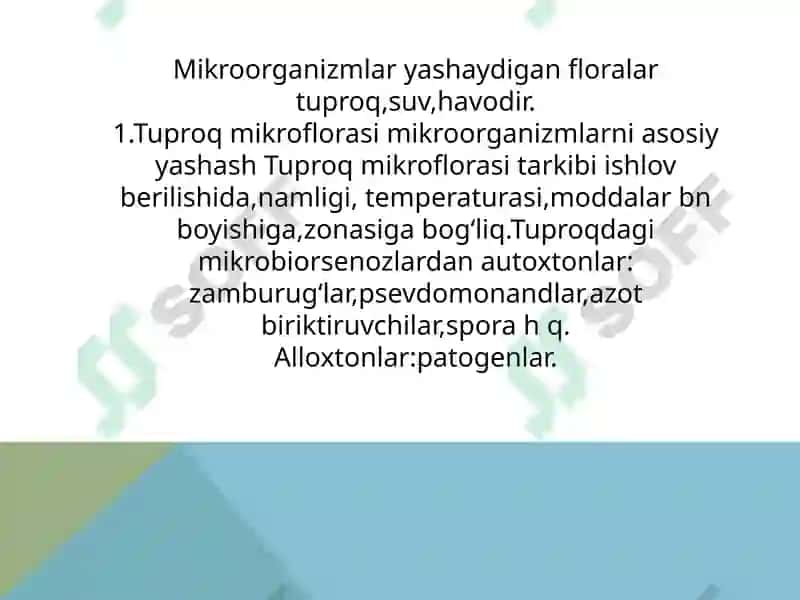 Mikroorganizmlarning ekologiyasi 6
