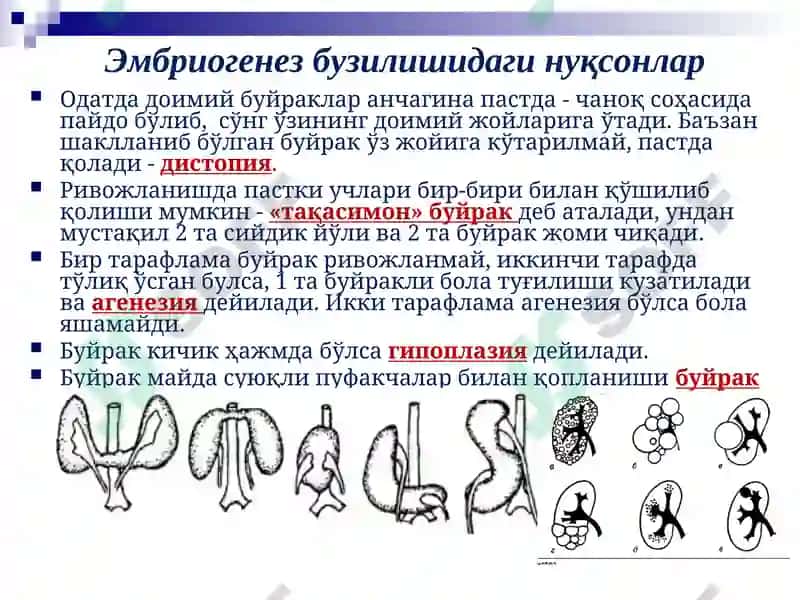 Болалар касалликлари пропедевтикаси 6