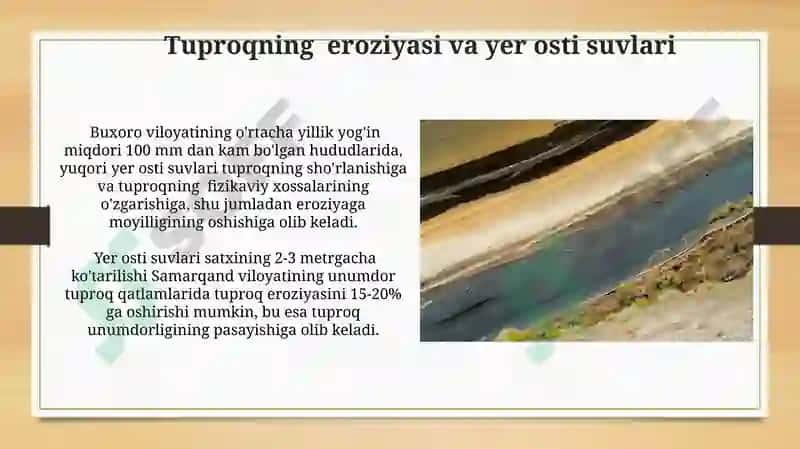 Yer osti suvlari (Rohila) 6
