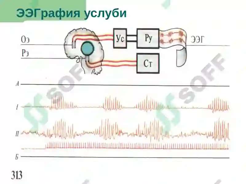 Уйқу Физиологияси 6