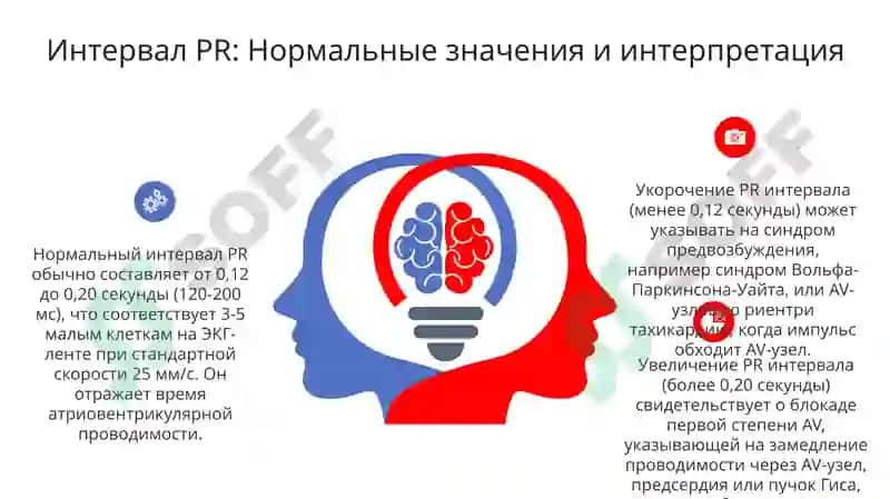 Педиатрическое дело 6