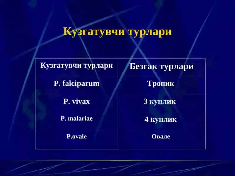 Безгак 6