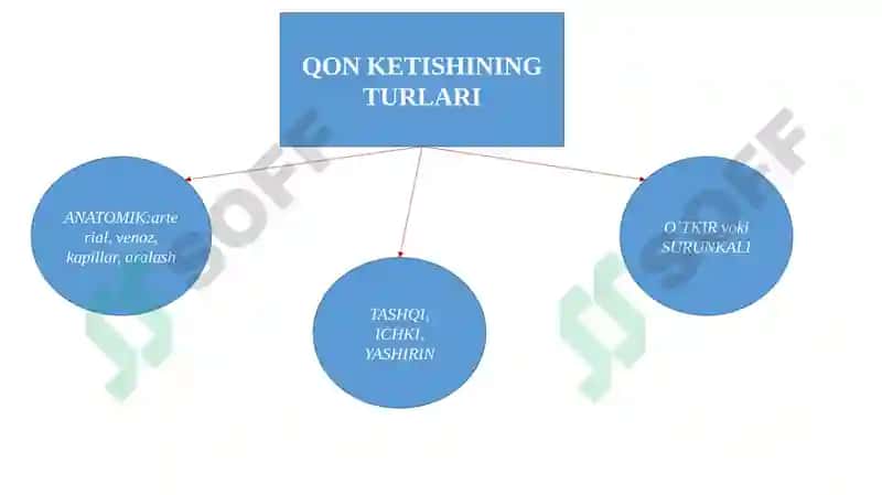 Qonketishturlari 6