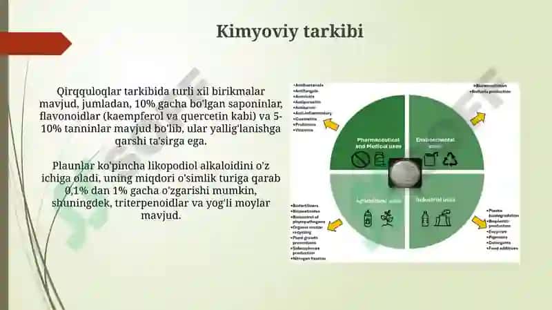 Sporali o'simliklar 6